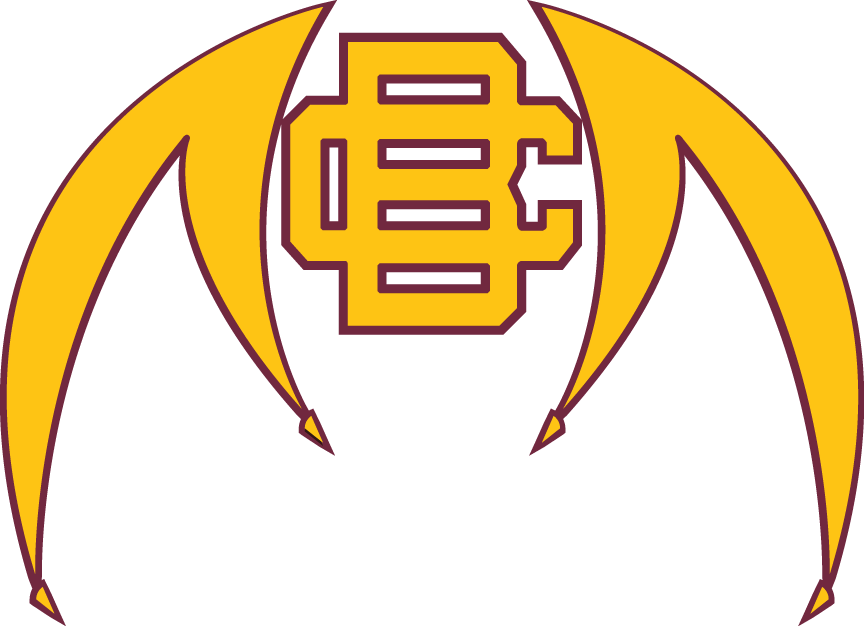 Bethune-Cookman Wildcats 2010-Pres Alternate Logo diy iron on heat transfer